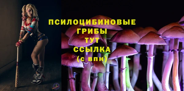 стафф Армянск